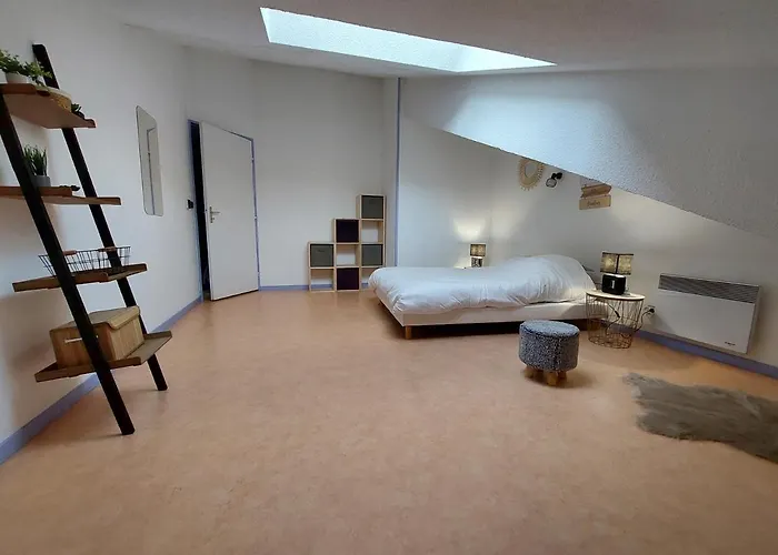 Appartement Duplex 70M2 Avec Box Prive A 150 M Des Telecabines