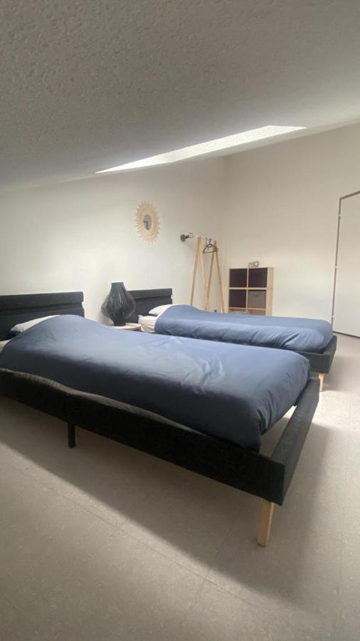 Apartment Duplex 70m2 Avec Box Prive A 150 M Des Telecabines